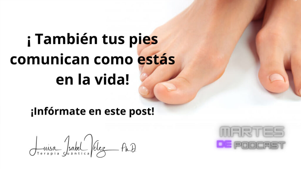 pies