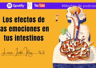 Los efectos de las emociones en los intestinos