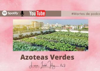 Azoteas verdes